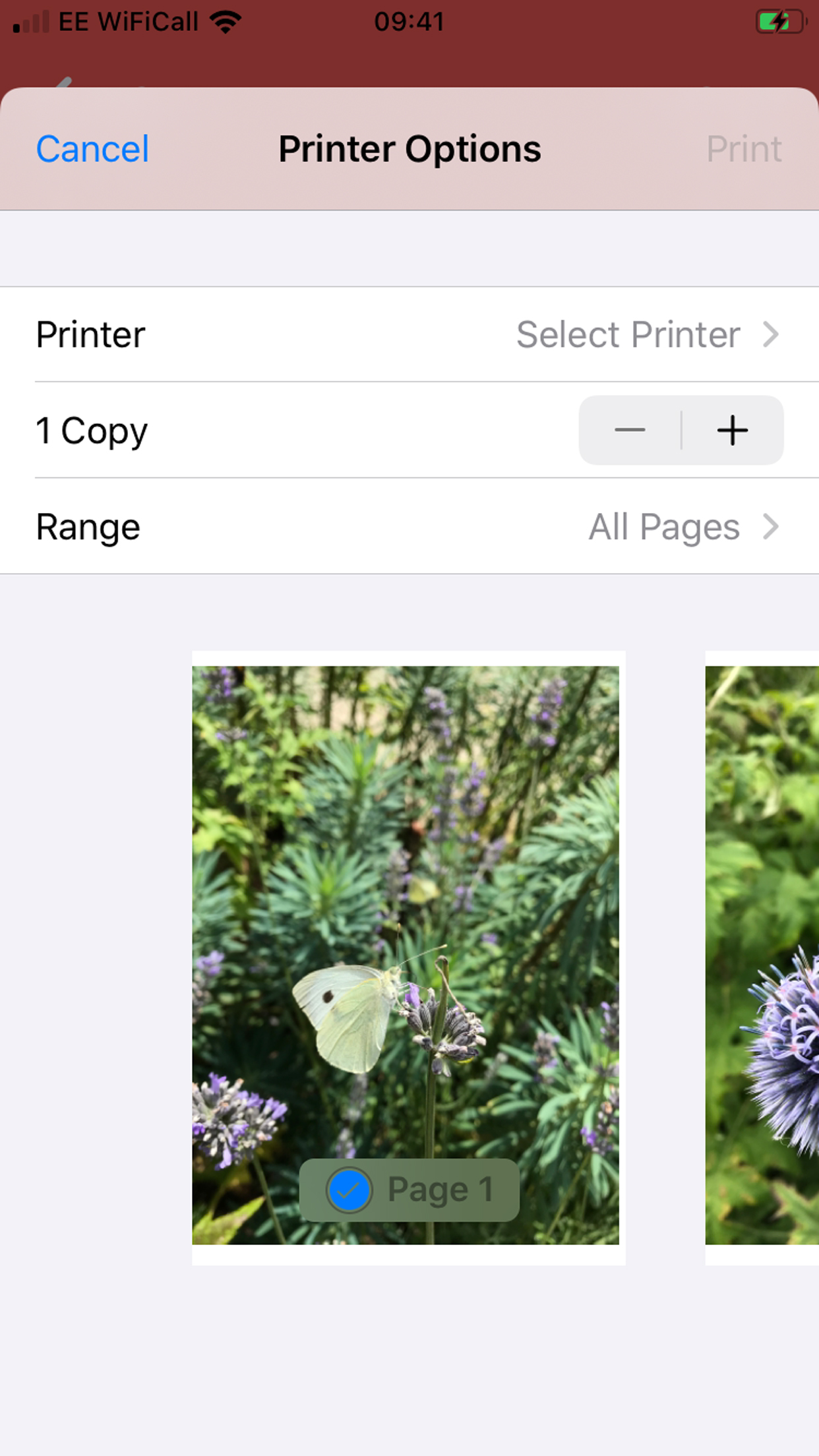 PDF Magic Printing Image